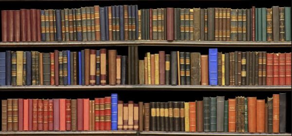 Will replace this with an actual photo of books in my library soon...